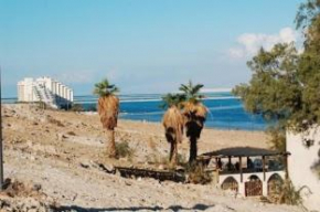 Гостиница Rose Dead Sea Neve Zohar  Neve Zohar